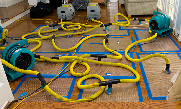 Professional Basement Flood Cleanup technician working in Wilkesville, OH