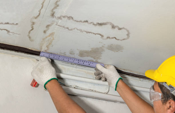 Affordable Water Damage Repair solutions in Wilkesville, OH